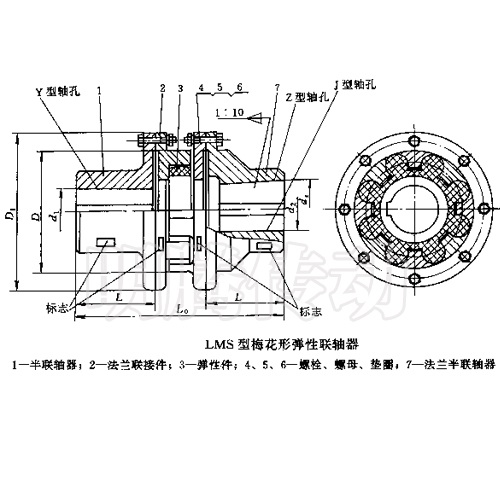 LMS型梅花形聯軸器圖紙